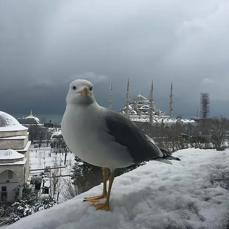 Esra Sultan Petrol Hotel Istambul