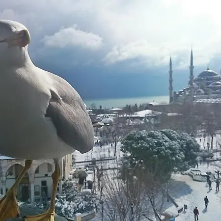호텔 Esra Sultan Petrol