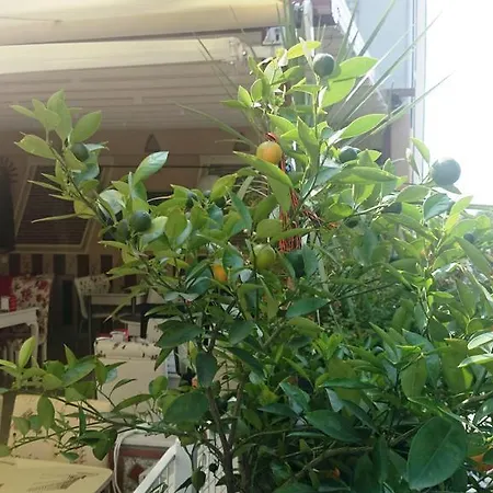 Esra Sultan Petrol 호텔