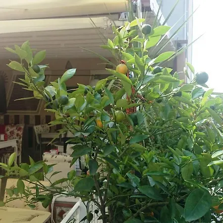 Esra Sultan Petrol Hotell